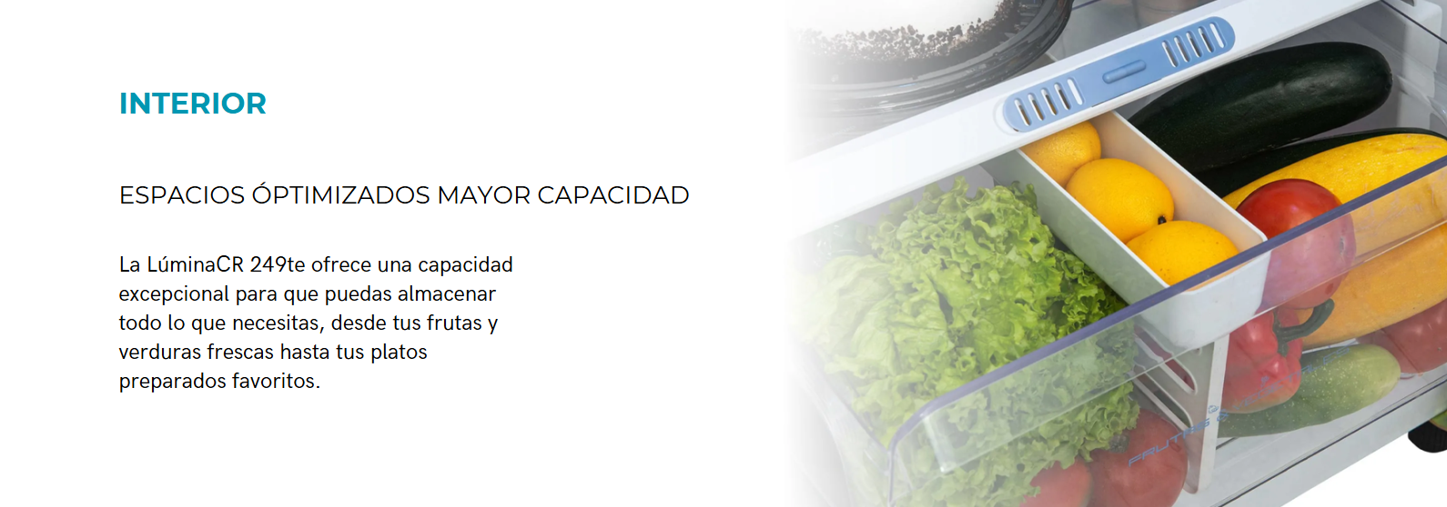 Refrigeradora con dispensador de agua, CHALLENGER 249 ltr. Cromada, modelo: CR-249