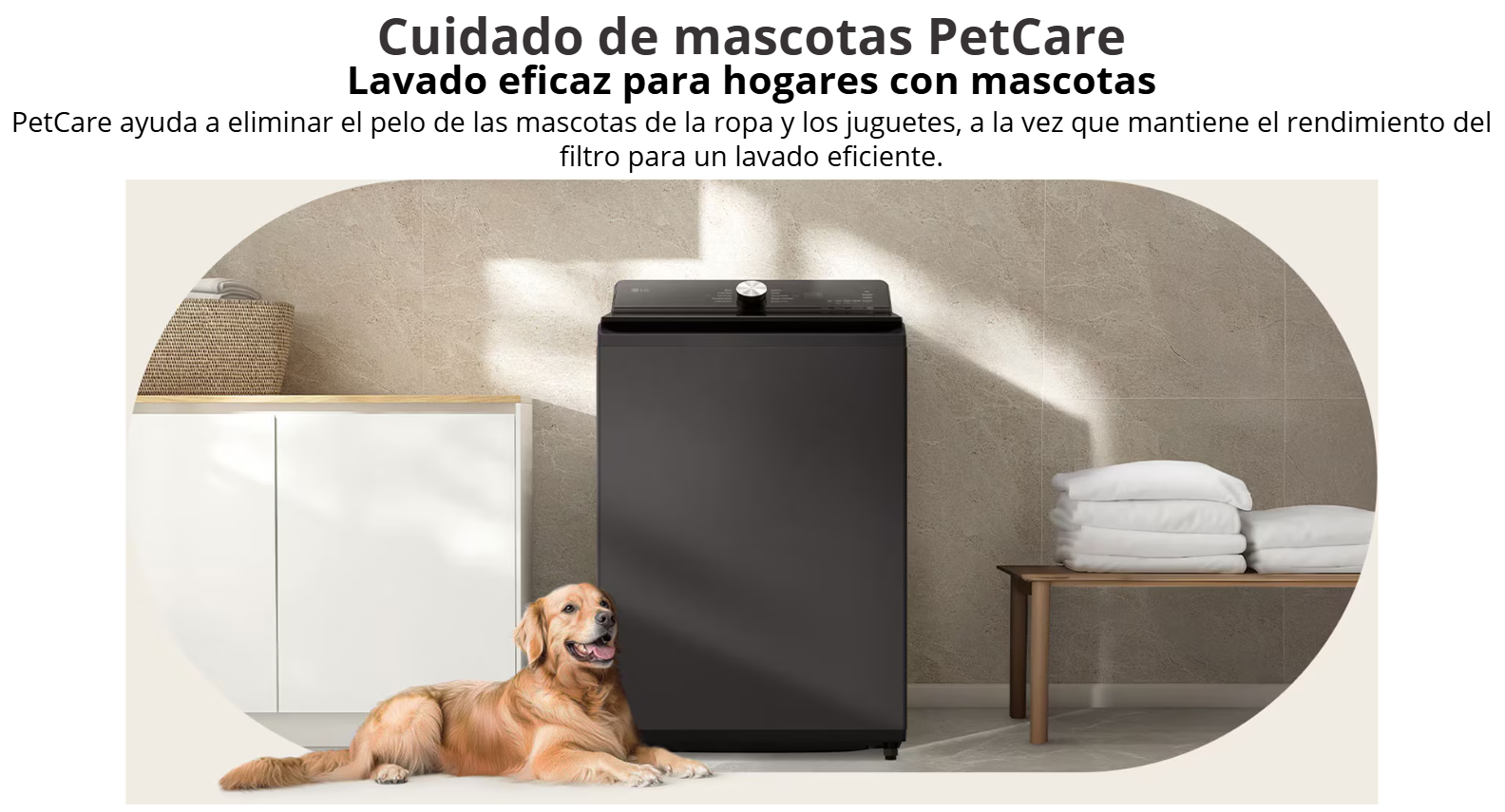 Banner publicitario de la lavadora LG de 23 kg modelo WT23EGTX6 que destaca la función PetCare para eliminar el pelo de mascotas, mostrando un perro Golden Retriever acostado junto a la lavadora en un cuarto de lavado.